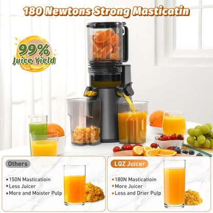 Easy-Clean Vertical Cold Press Juicer