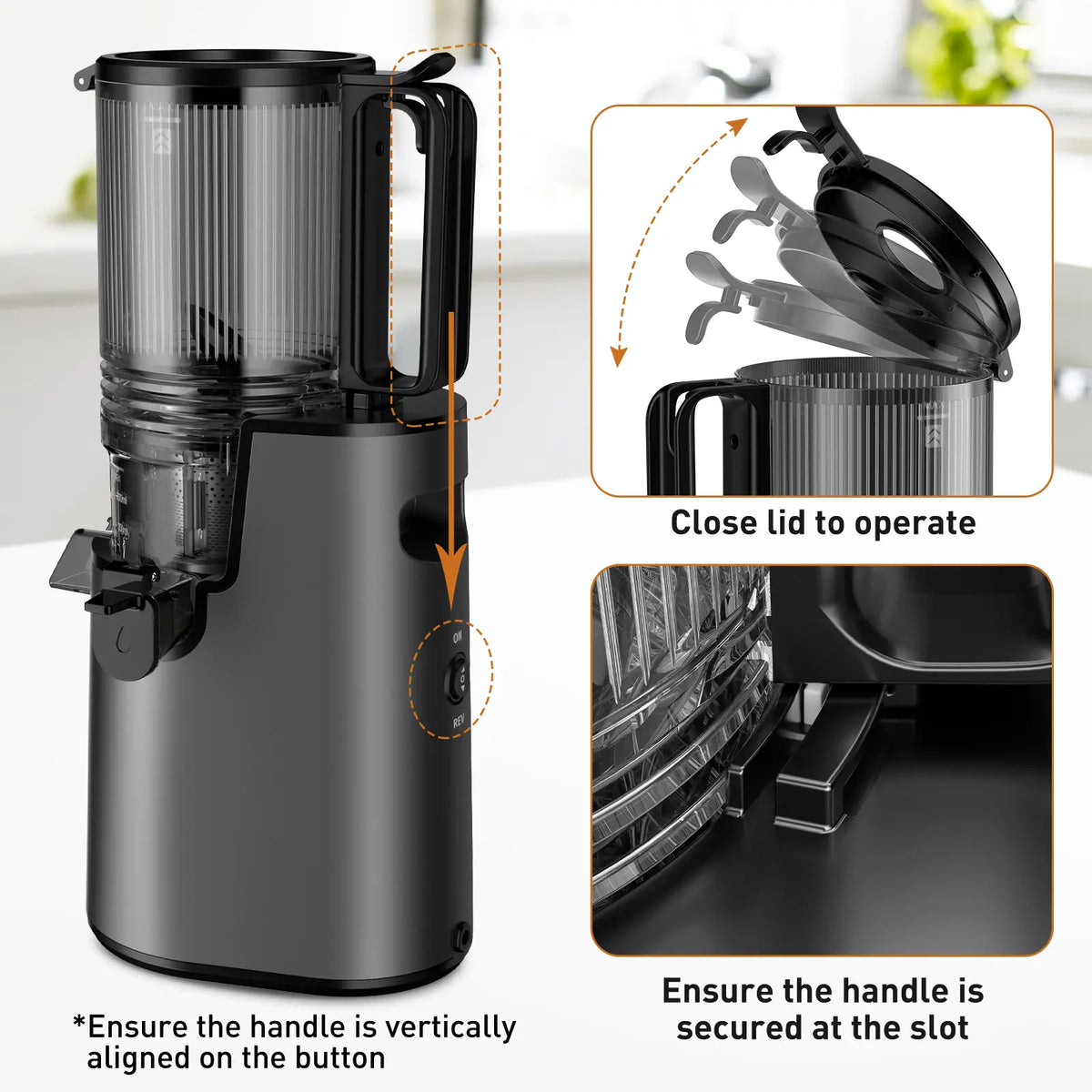 Easy-Clean Vertical Cold Press Juicer